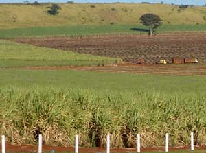 Aquisicao-imovel-rural